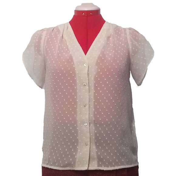 H&M Cream Button Down Sheer Blouse With Tulip Sleeves Size US 4 - Picture 1 of 10